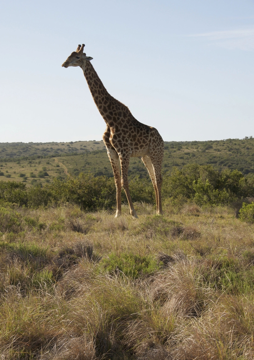 Uthula Impressionen 19