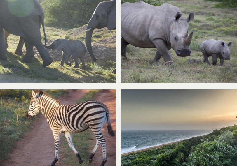 Uthula Impressionen B